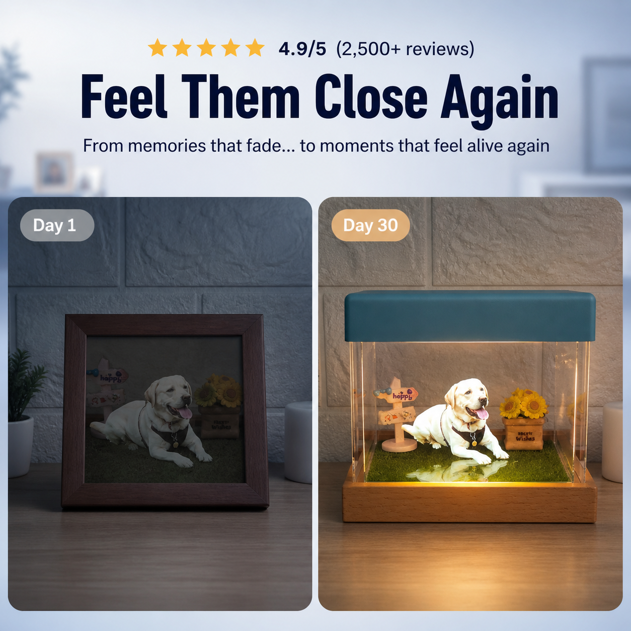 FureverGlow™ Holographic Pet Memory Video Frame