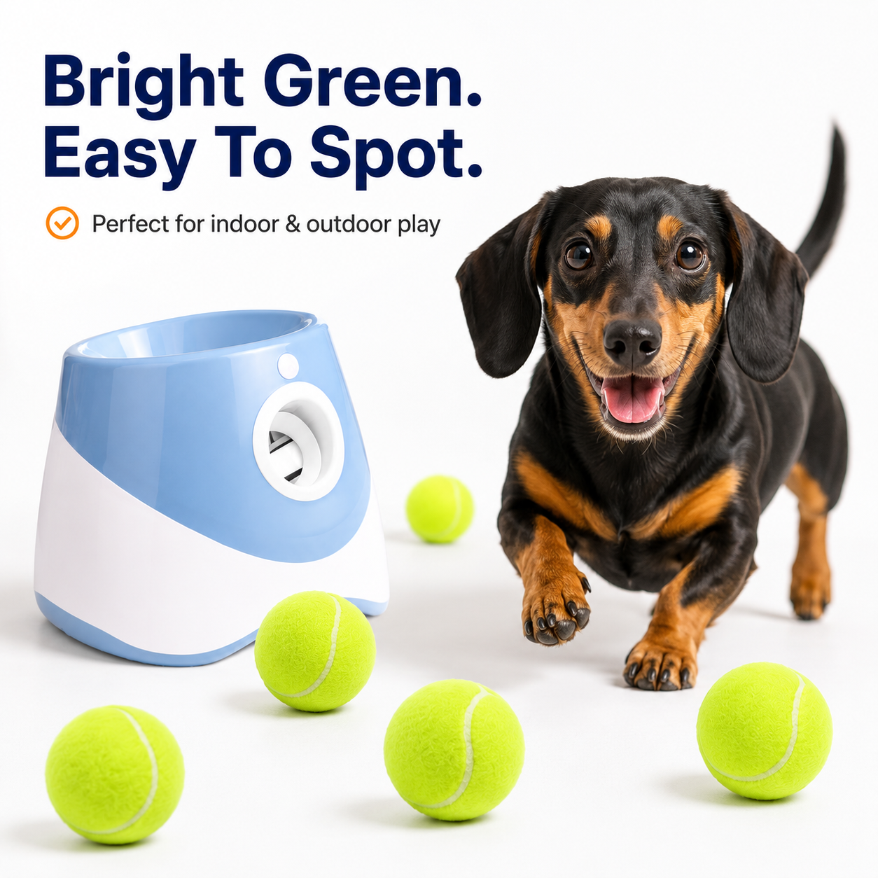 Mini Fetch Balls — 10 Pack